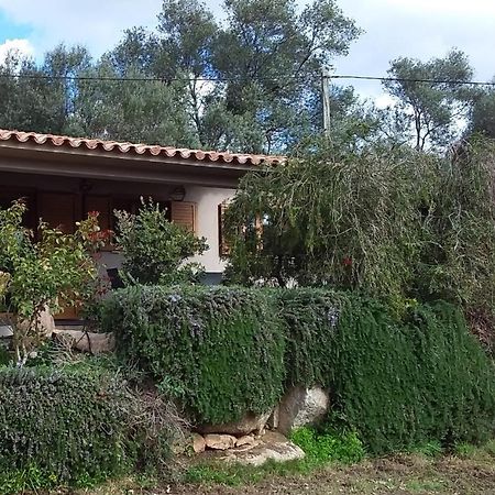 فيلا Casa-Lesia بورتو فيكشْيو المظهر الخارجي الصورة